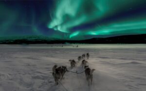 Chiens de traineau, aurores boréales, Norvège