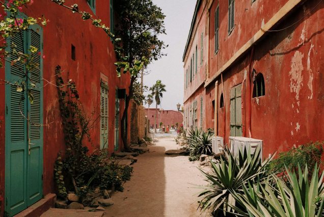 rue sénégal