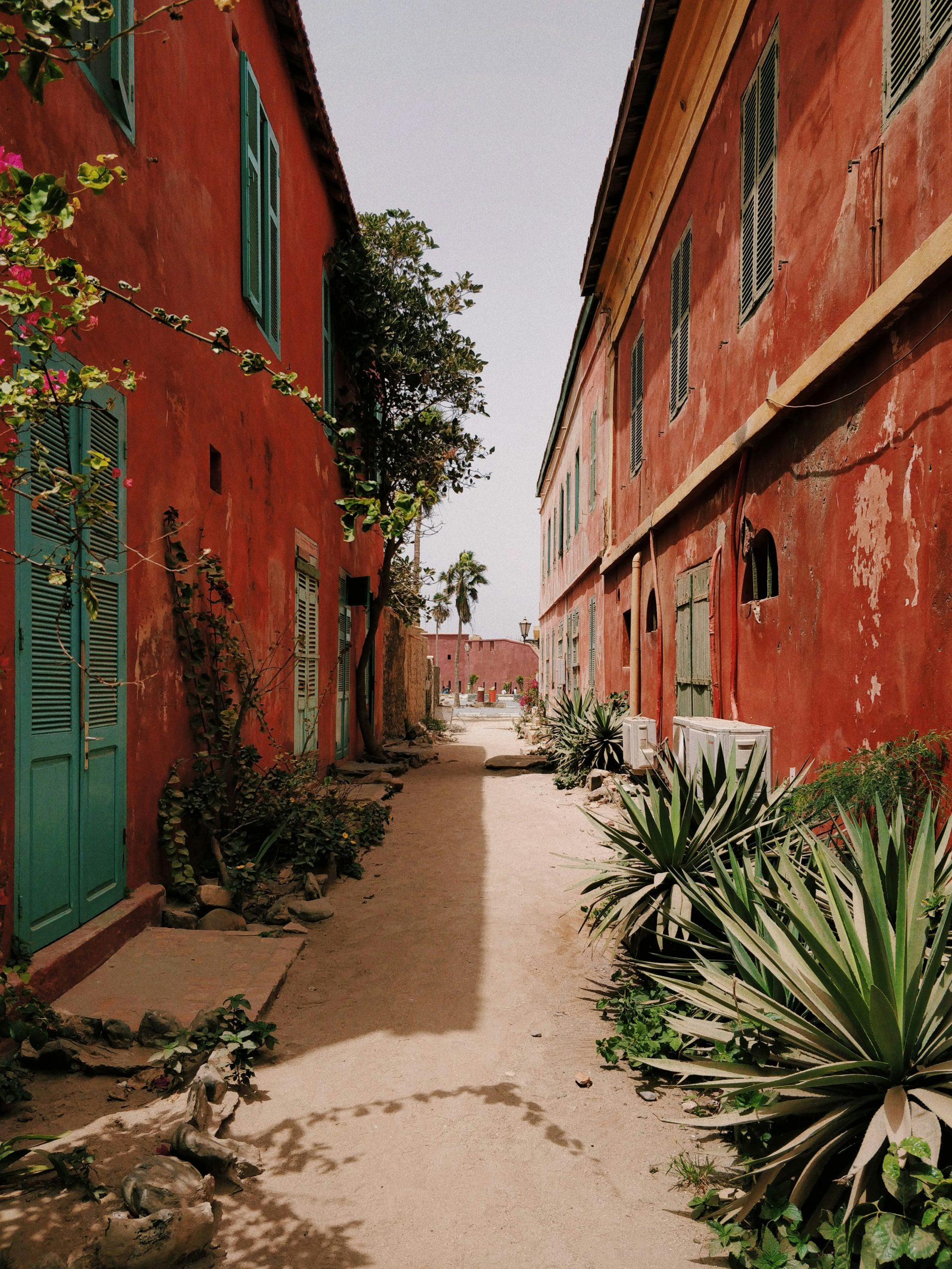 rue sénégal