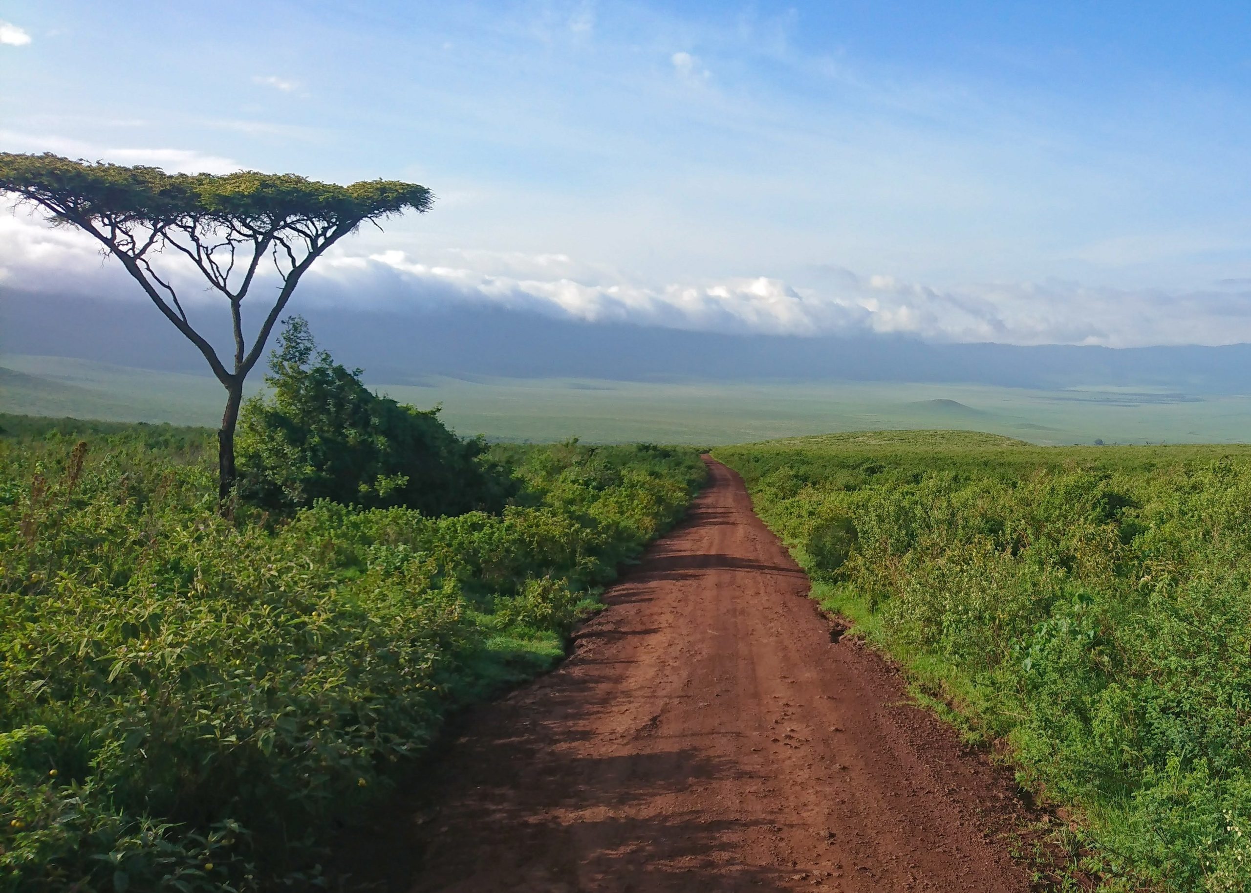 safari zanzibar