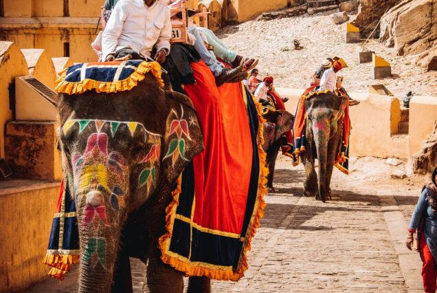 Éléphant, Inde