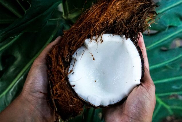 Noix de coco, île de la Réunion