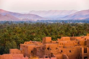 Forêt de palmiers, Maroc