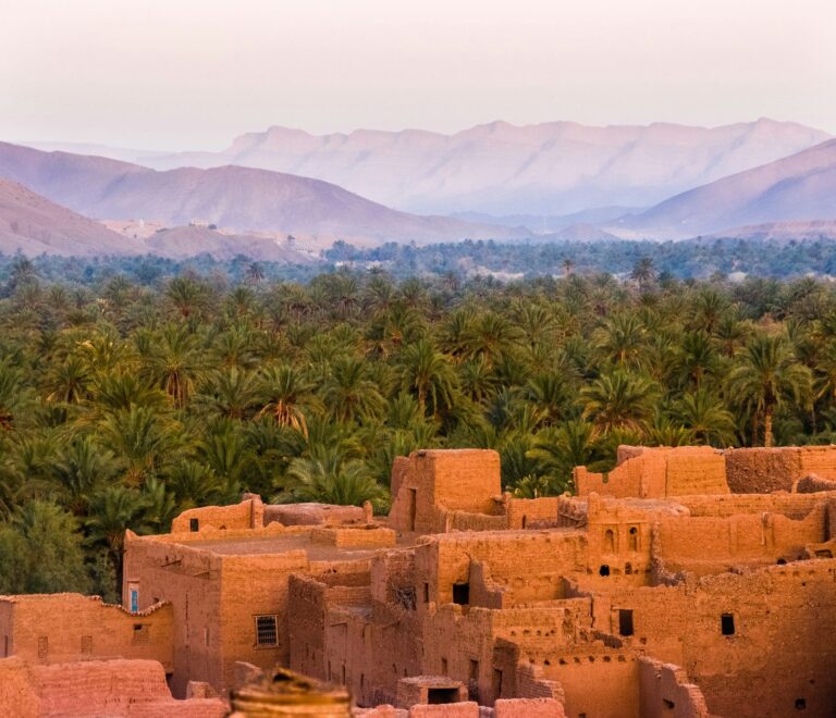Forêt de palmiers, Maroc