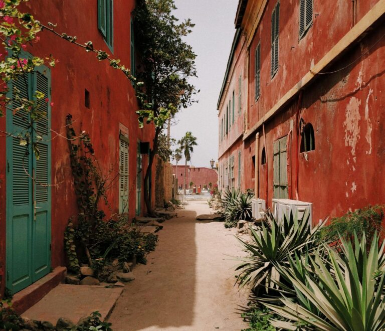 Rue Sénégal