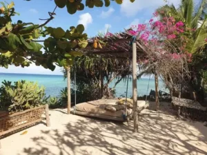 hôtel halal zanzibar terrasse