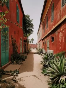 rue Sénégal, Voyage, Terres de Cultures