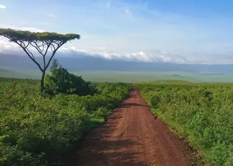 safari zanzibar, Terres de Cultures
