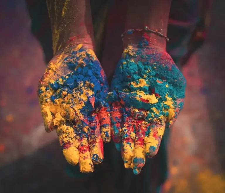 Mains colorées, Inde, Terres de Cultures, voyage