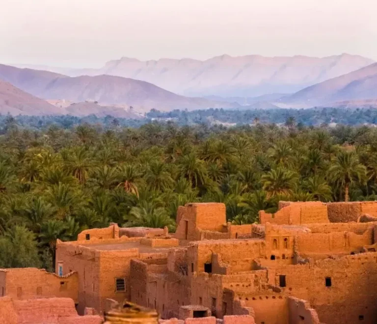 Forêt de palmiers, Maroc