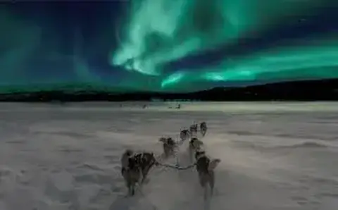 chiens de traineaux sous des aurores boréales, Norvège