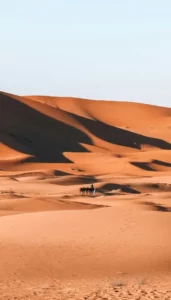 sahara marocain, désert, maroc