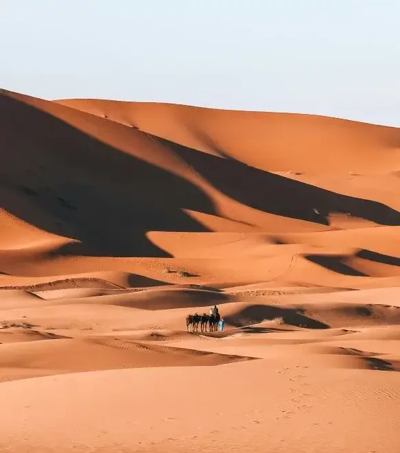 sahara marocain, désert, maroc