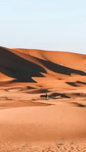 sahara marocain, désert, maroc