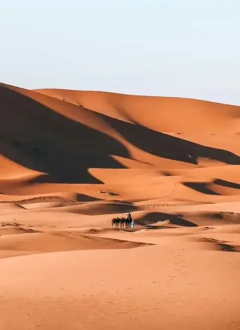 sahara marocain, désert, maroc
